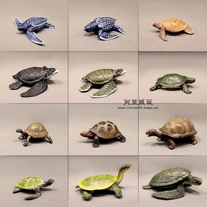 Lederback Rotohrschildkröte La – Ocean Aquarium Bewertung und Preis
