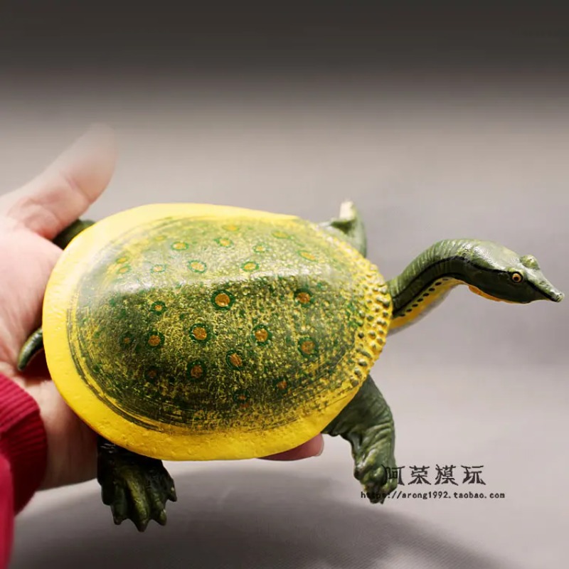 Lederback Rotohrschildkröte La – Ocean Aquarium Bewertung und Preis