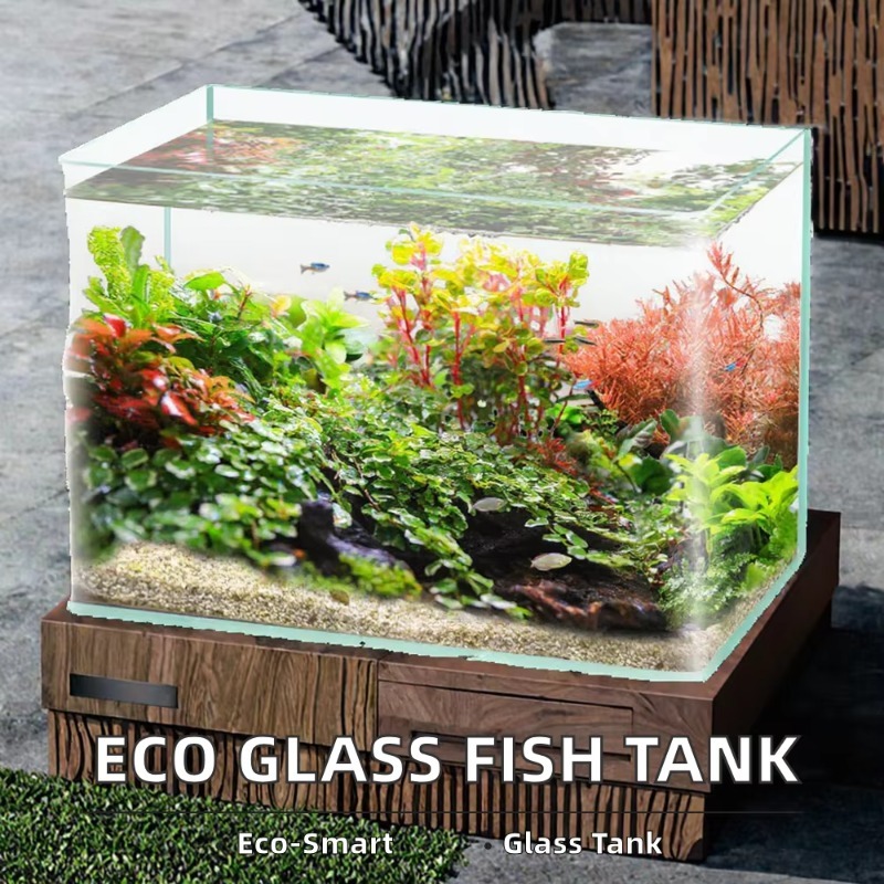 Box-Verpackung, Desktop-Aquari – Saltwater Tank Bewertung und Preis