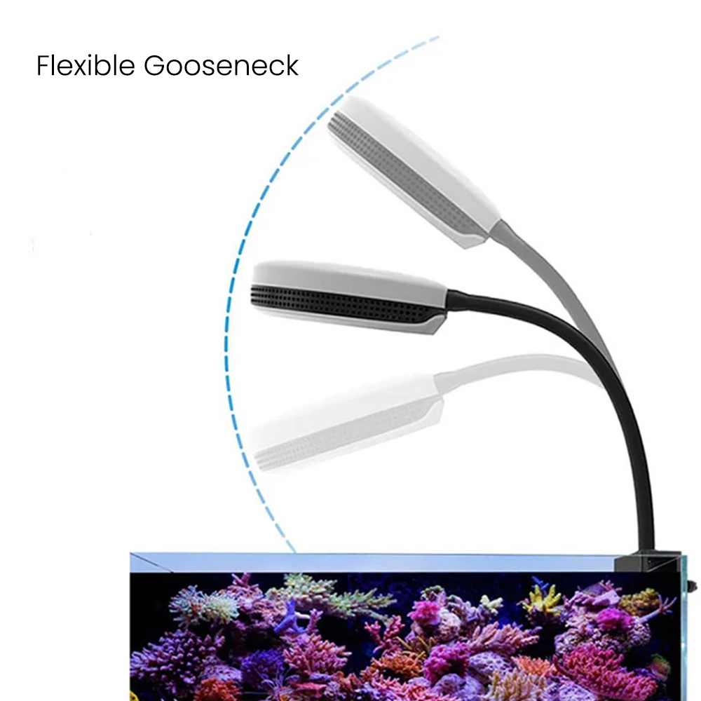 Spectra SP20 20W Aquarium LED- – Reef Lighting Bewertung und Preis