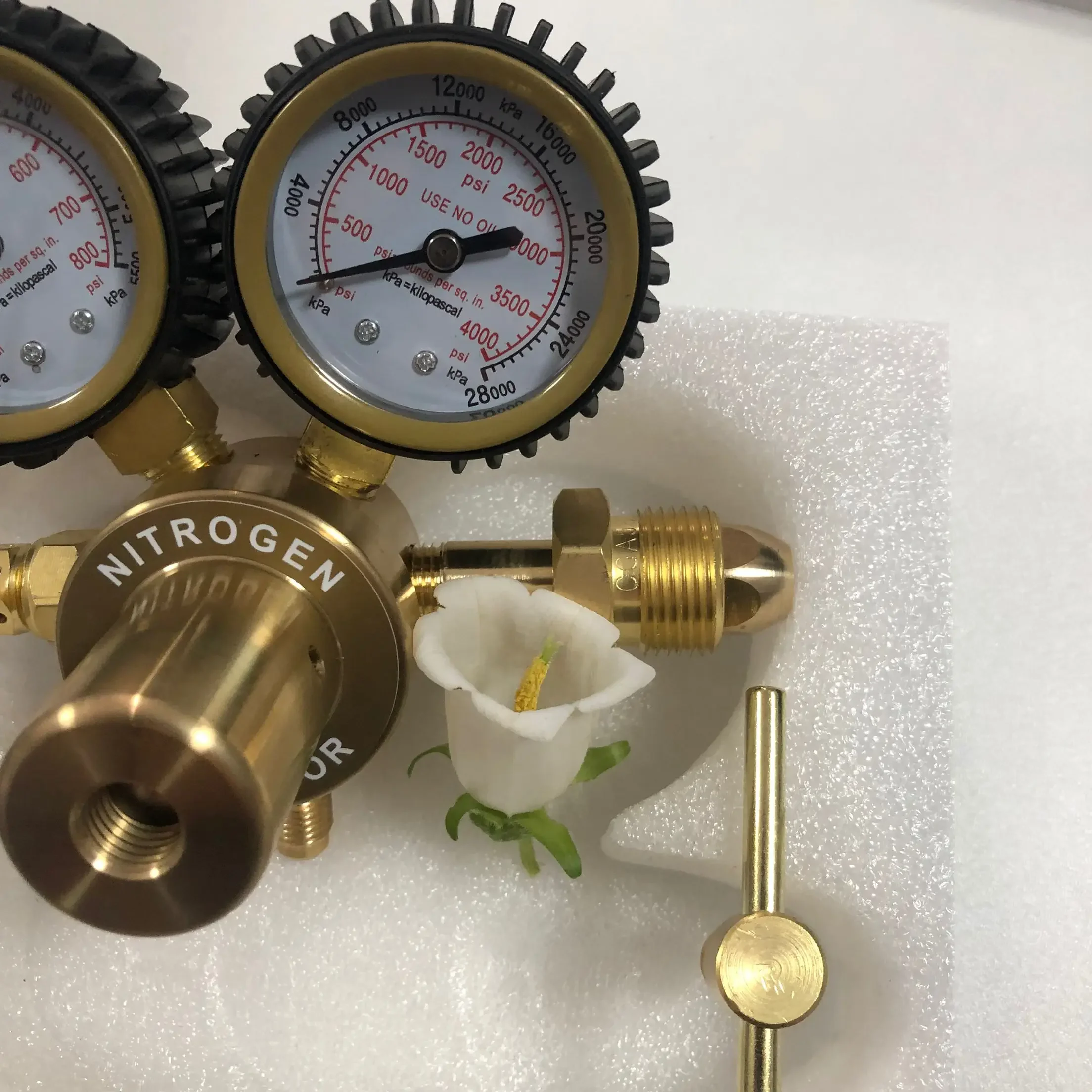 Druckminderer im amerikanische – Nitrate Reductase Bewertung und Preis