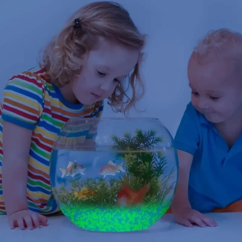 1000 Stück 3–5 mm leuchtender  – Ocean Aquarium Bewertung und Preis