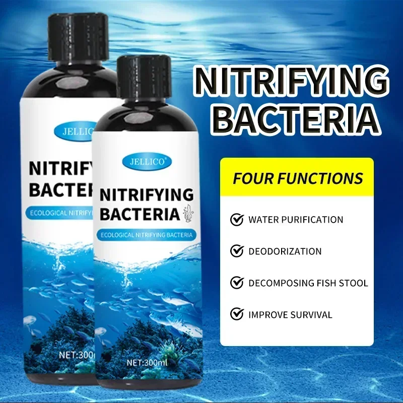 Nitrifizierende Bakterien Flüs – Ocean Aquarium Bewertung und Preis
