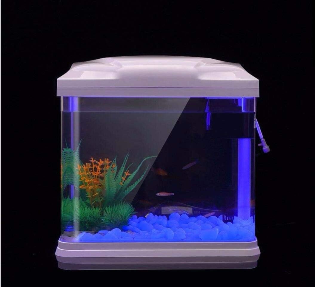 Aquarium-Felsen leuchten blaue – Ocean Aquarium Bewertung und Preis