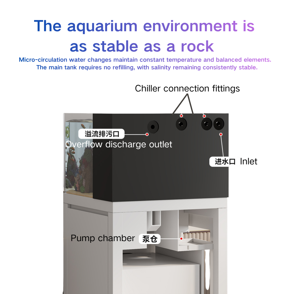 Intelligentes Aquarium mit Aut – Marine Aquarium Cube Bewertung und Preis